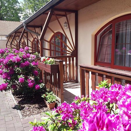 Hotel Fogl Nová Bystřice Extérieur photo