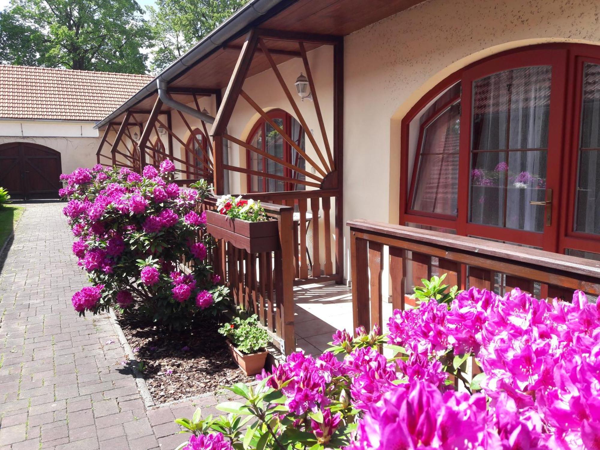 Hotel Fogl Nová Bystřice Extérieur photo