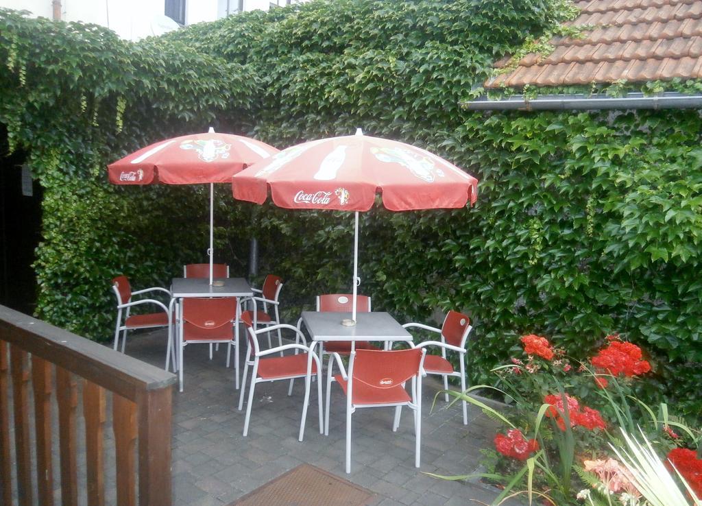 Hotel Fogl Nová Bystřice Extérieur photo